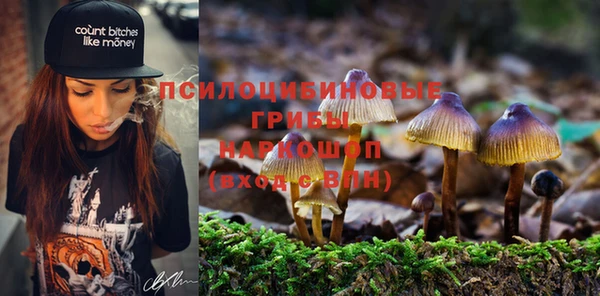 бошки Алексеевка