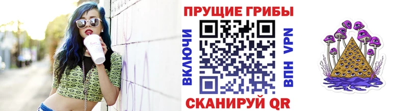 Галлюциногенные грибы Psilocybine cubensis наркошоп мориарти состав Апатиты
