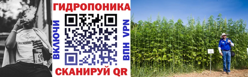 купить   Апатиты  кракен сайт  Бошки Шишки THC 21% 